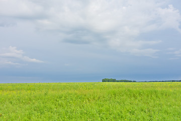 Image showing summer landscape