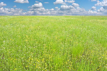 Image showing summer landscape