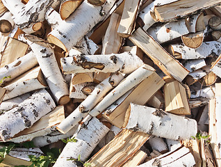 Image showing birch firewood