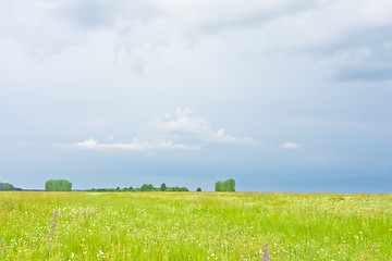 Image showing summer landscape