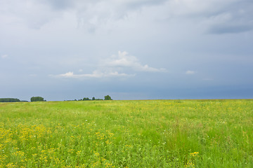 Image showing summer landscape