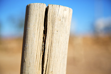 Image showing dead wood in the sky morocco   winter