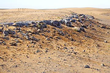 Image showing  old fossil in  the   of morocco sahara 