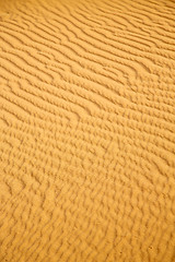 Image showing the brown sand dune in  a morocco desert 