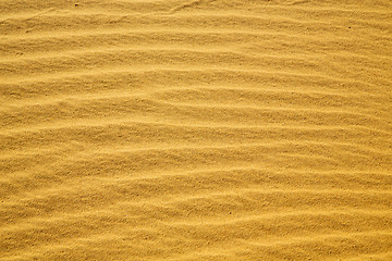 Image showing africa the brown sand dune in   