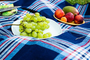 Image showing Picnic blanket 