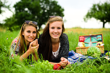 Image showing Best friends having a picnic