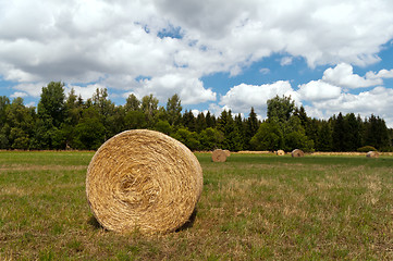 Image showing Hay bales
