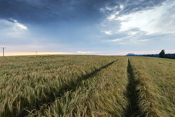 Image showing Evening landscape in summer