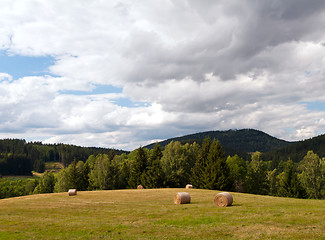 Image showing Summer landscape