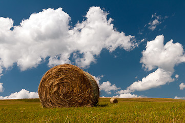 Image showing Bale of hay