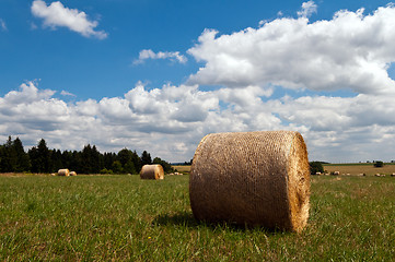 Image showing Hay bales