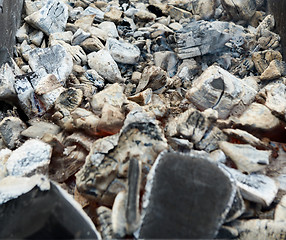 Image showing cooking meat on the coals