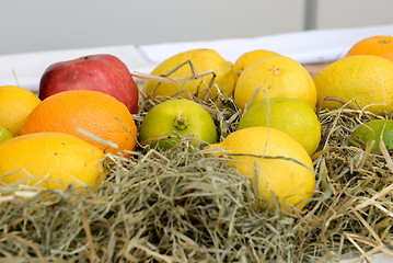 Image showing apples oranges and lemons on the market 