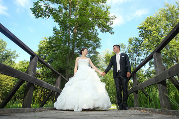 Image showing Bride and groom holding hands