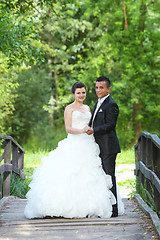 Image showing Wedding photo in nature