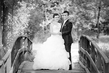 Image showing Bride and groom in nature black and white
