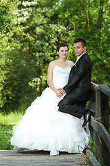 Image showing Newlyweds in nature