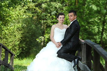 Image showing Newlyweds on wooden bridge in nature