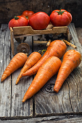 Image showing autumn harvest vegetables