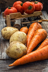 Image showing autumn harvest vegetables