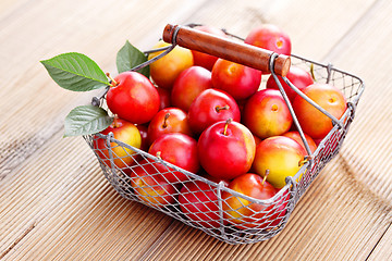 Image showing basket of plums