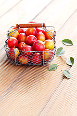 Image showing basket of plums