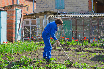 Image showing Working in the garden