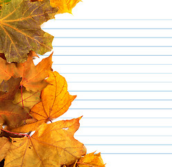 Image showing Autumn maple-leafs and notebook paper