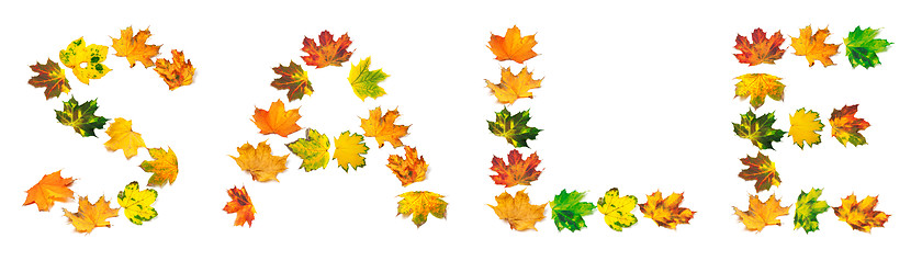 Image showing Word SALE composed of autumn maple leafs