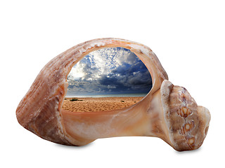 Image showing Sea beach in sun day through broken rapana shell