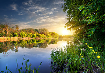 Image showing Flowers near river