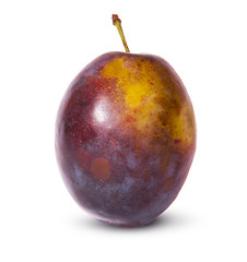 Image showing Single violet plum