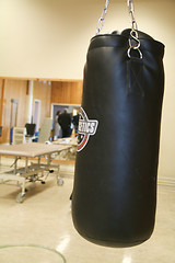 Image showing Punshing Bag