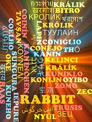 Image showing Rabbit multilanguage wordcloud background concept glowing