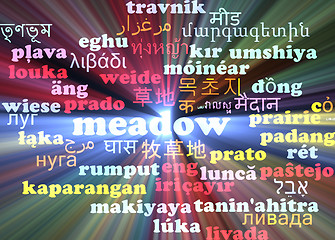 Image showing Meadow multilanguage wordcloud background concept glowing