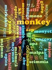 Image showing Monkey multilanguage wordcloud background concept glowing