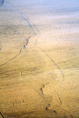 Image showing morocco  africa brown coastline wet sand  