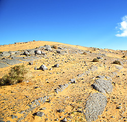 Image showing  old fossil in  the desert of morocco sahara and rock  stone sky