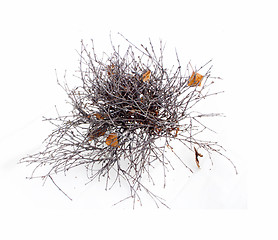 Image showing  tangle of branches on a white background