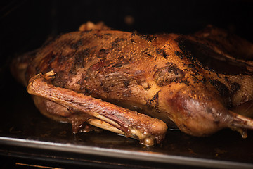 Image showing roasted goose 