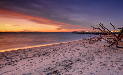 Image showing Sunset at Silver Beach Botany Bay Sydney