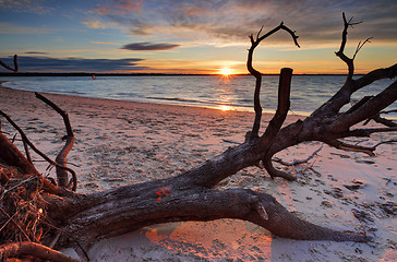Image showing Sunset Silver Beach, Australia