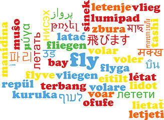 Image showing Fly multilanguage wordcloud background concept