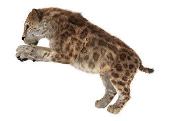 Image showing Big Cat Smilodon
