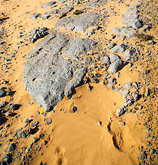 Image showing  old fossil in the desert of morocco sahara and rock  stone sky