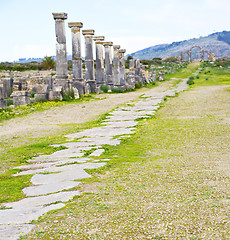 Image showing volubilis in morocco africa the old  street