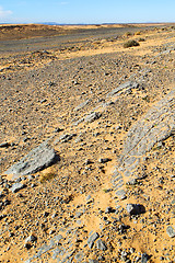 Image showing  old fossil in  the desert of  