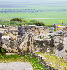 Image showing volubilis in morocco africa the old roman deteriorated monument 