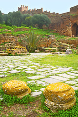 Image showing chellah  in   deteriorated monument and site